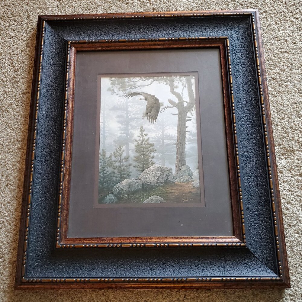 Shrouded Forest Bald Eagle Framed Art Daniel Smith Eagle Soaring in the Forest